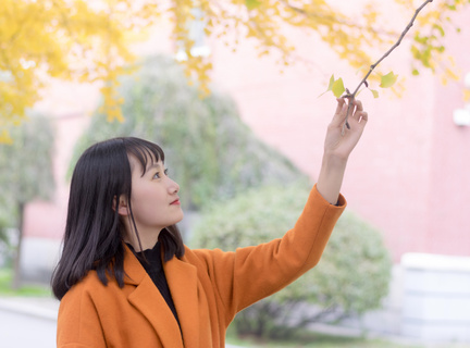 菲律宾大学有在职研究生